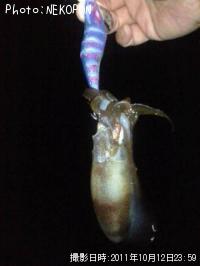 �����ꥤ��