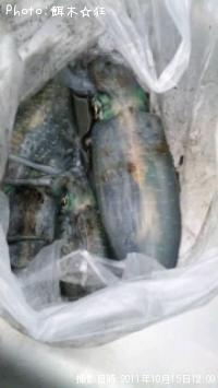 ¥¢¥ª¥ê¥¤¥«