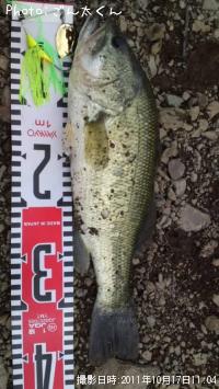 ¥Ö¥é¥Ã¥¯¥Ð¥¹