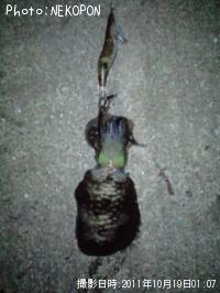 �����ꥤ��