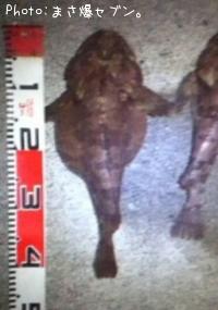 ¥±¥à¥·¥«¥¸¥«