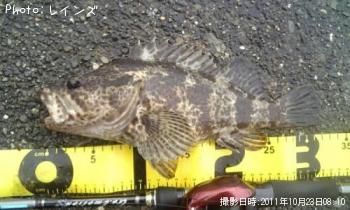 �����Υ���Х�