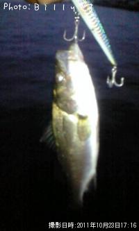 �����Х�