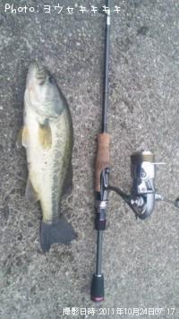 ¥Ö¥é¥Ã¥¯¥Ð¥¹