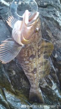 �����ʥ�