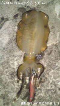 �����ꥤ��