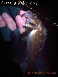 ������Х�