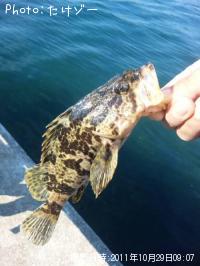 �����Υ���Х�