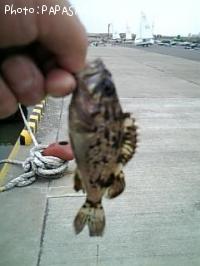 ¥¿¥±¥Î¥³¥á¥Ð¥ë