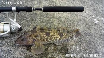 �����ʥ�