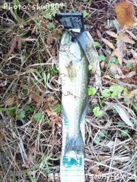 �֥�å��Х�