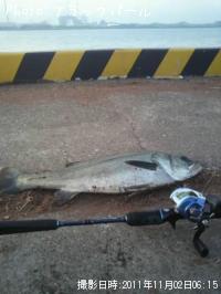 �����Х�