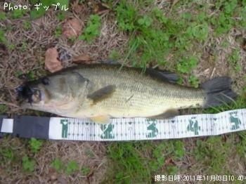 ¥Ö¥é¥Ã¥¯¥Ð¥¹