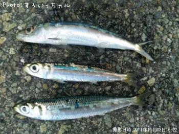 ���亮����