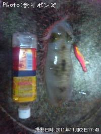 ¥¢¥ª¥ê¥¤¥«