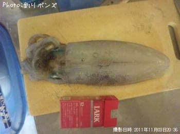 ¥¢¥ª¥ê¥¤¥«