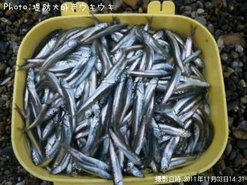 �����������亮