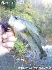 �֥�å��Х�