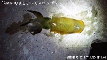 �����ꥤ��