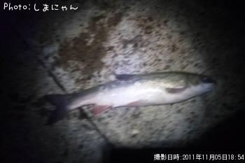 �ޥ륿
