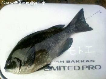 �����᥸��