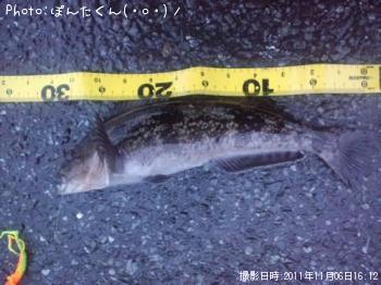 �����ʥ�