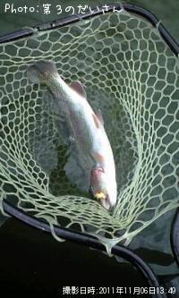 ¥ì¥¤¥ó¥Ü¡¼¥È¥é¥¦¥È