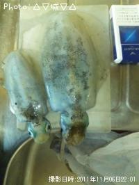 ¥¢¥ª¥ê¥¤¥«