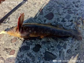 �����ʥ�