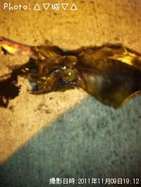 �����ꥤ��