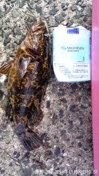 ¥¿¥±¥Î¥³¥á¥Ð¥ë