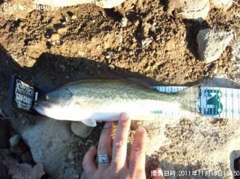 �֥�å��Х�