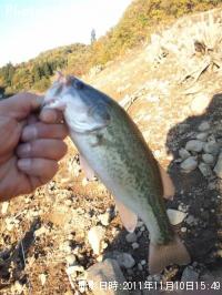 �֥�å��Х�