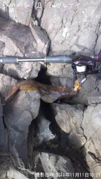 �����ʥ�