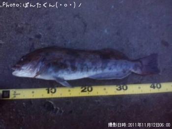 �����ʥ�