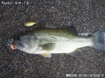 �֥�å��Х�