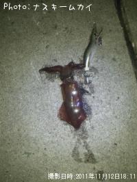 ¥Æ¥¯¥Ó¥¤¥«