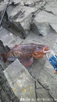 �����ʥ�