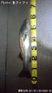 �����Х�