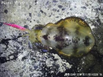 �����ꥤ��