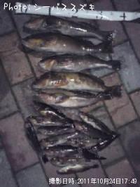 �����ʥ�