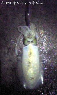 �����ꥤ��