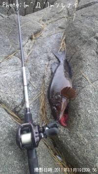 �����ʥ�