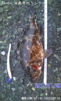 �����Υ���Х�