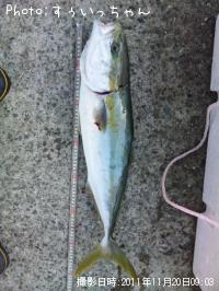 �᥸������