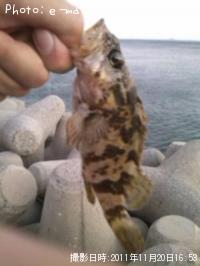 ¥¿¥±¥Î¥³¥á¥Ð¥ë