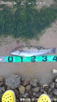 �����ʥ�