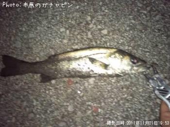 �����Х�