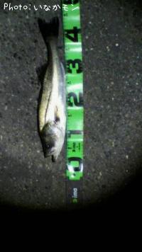 �����Х�