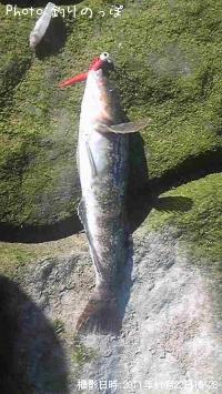 �����ʥ�